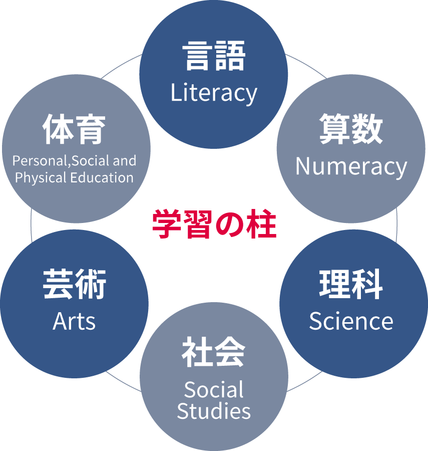 学習の柱「算数、言語、ウェルビーイング、芸術、社会、理科」を表した6つの丸のイメージ