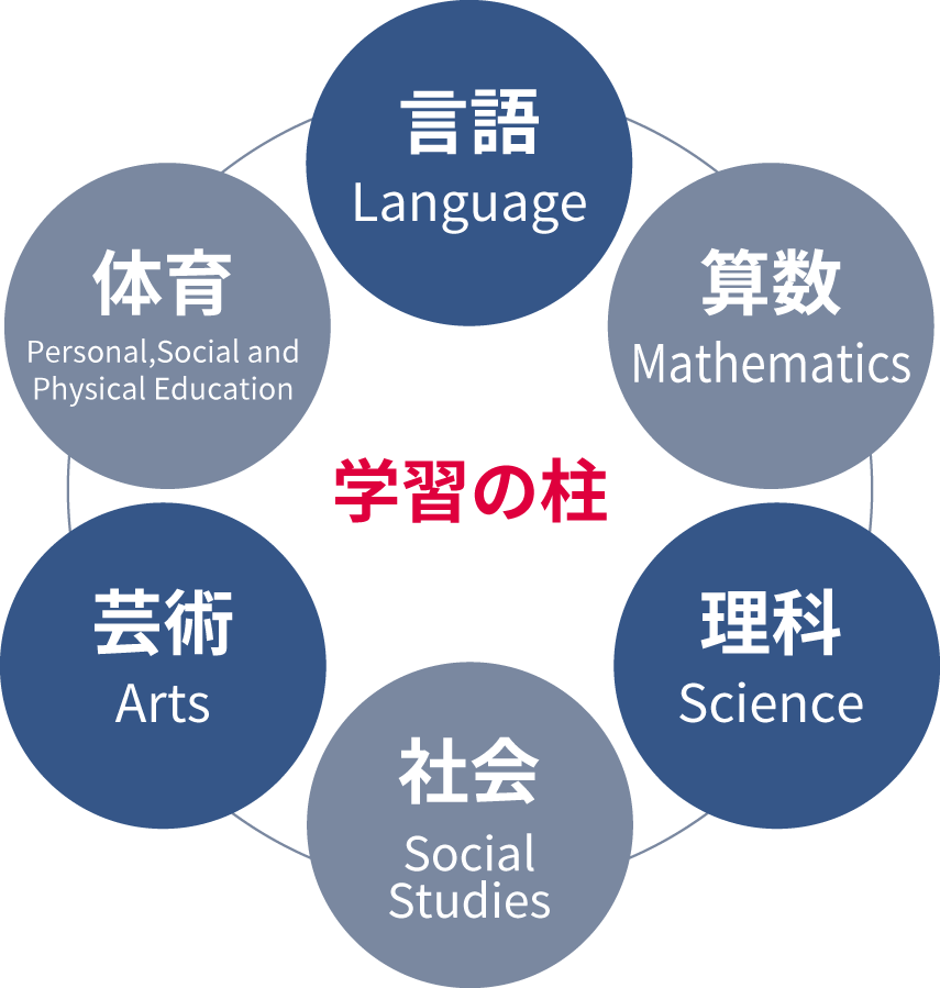 学習の柱「算数、言語、ウェルビーイング、芸術、社会、理科」を表した6つの丸のイメージ